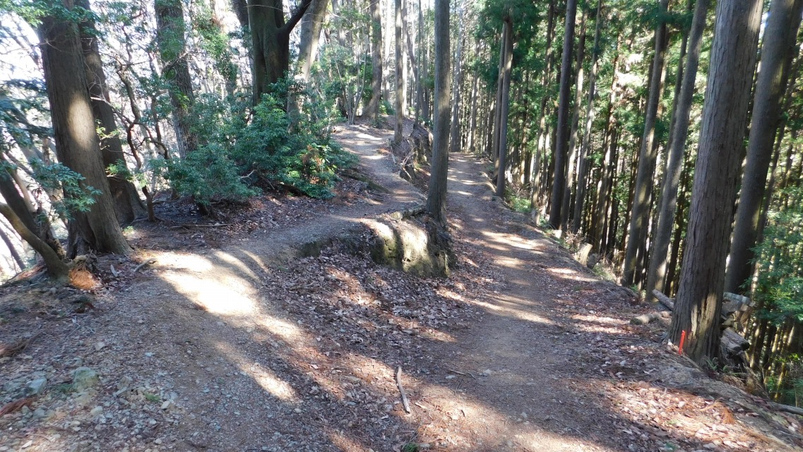 �m 82�^154 �n�@�����͉E�̓��Ƀ��[�v�������ĂȂ��B�E�ցB