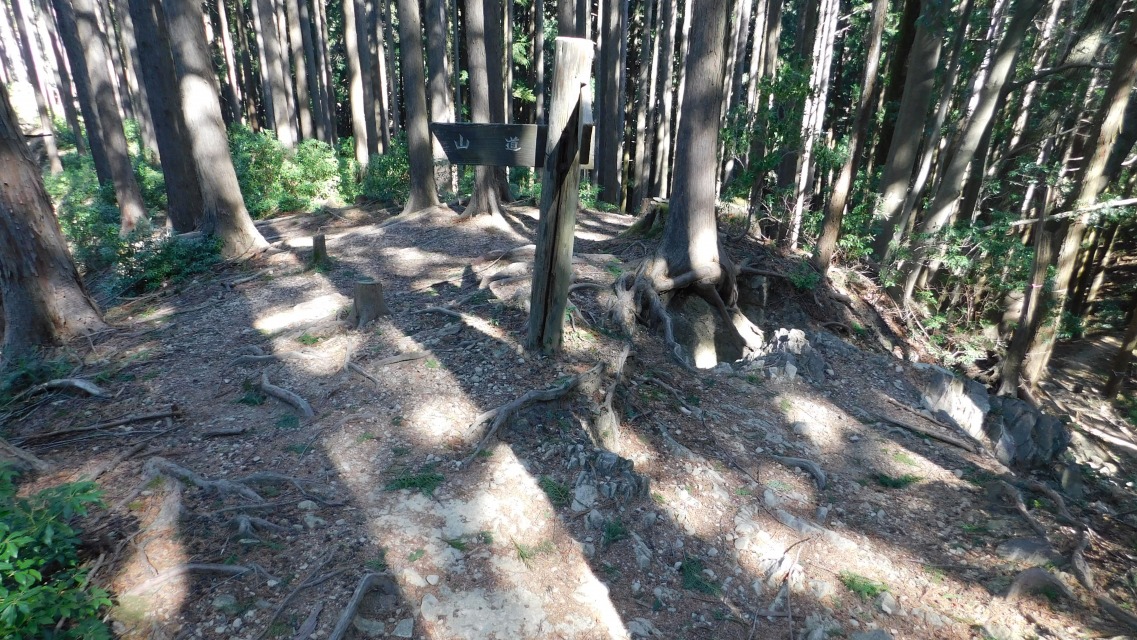 �m 83�^154 �n�@����_�B���́u�R���v�B���i����B