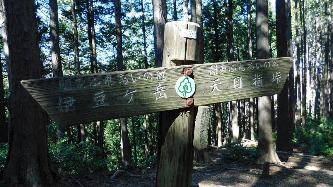 �m 84�^154 �n�@�\���m�F�B�u�V�ڎw���v�ցB