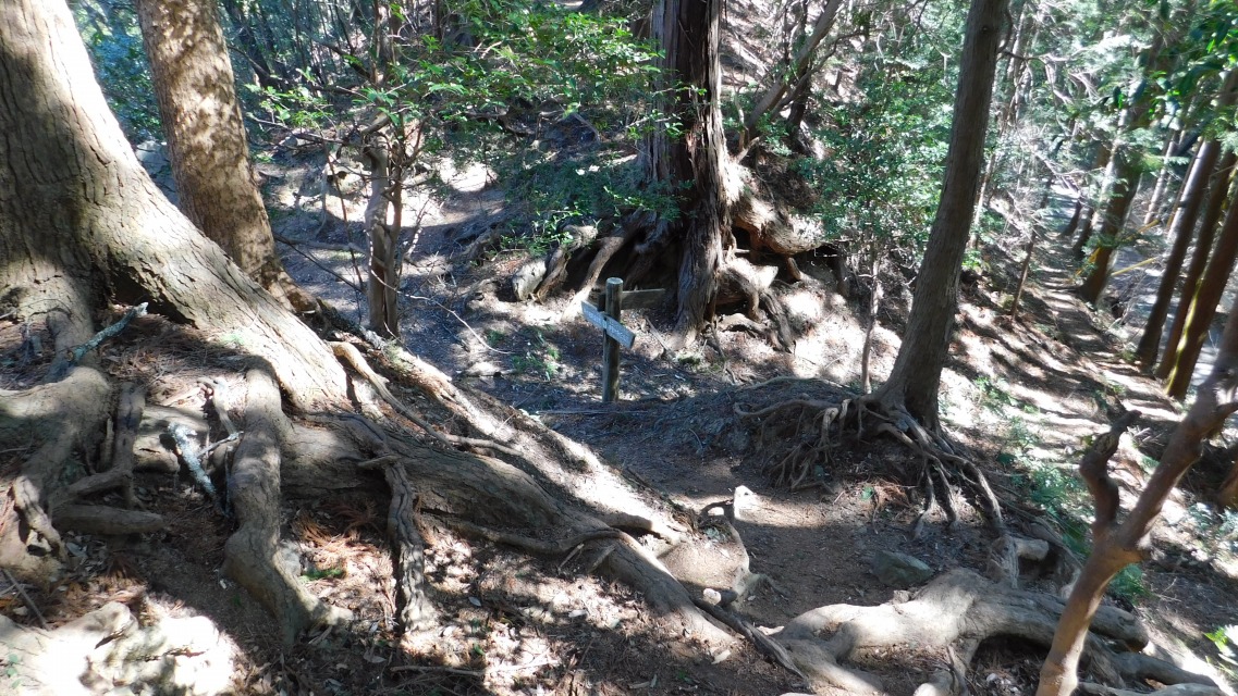 �m 85�^154 �n�@���ɕ��p�\��������