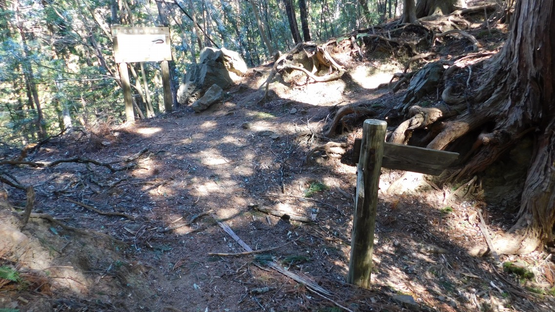 �m 86�^154 �n�@���ւ���āB�u�V�ڎw���̓`���v�ē�������B�u����v�Q�ƁB