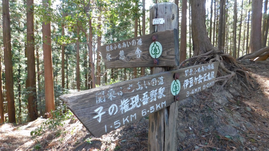 �m 87�^154 �n�@�\���m�F�B����U��Ԃ��āB�u�q�̌��� 1.5�j�l�v�n�_�B