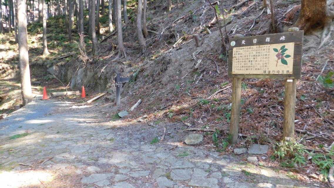 �m 93�^154 �n�@�u�q�̌����v�ցB�u�V�ڎw���v�ē����ݒu����Ă���B�u����v�Q�ƁB