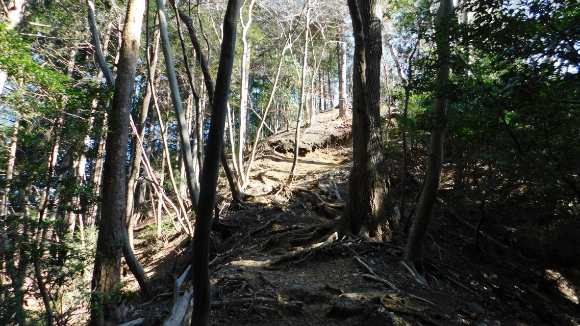 �m 95�^154 �n�@�O���A���s�[�N�ցB�q�̌����܂ŃA�b�v�_�E���������B