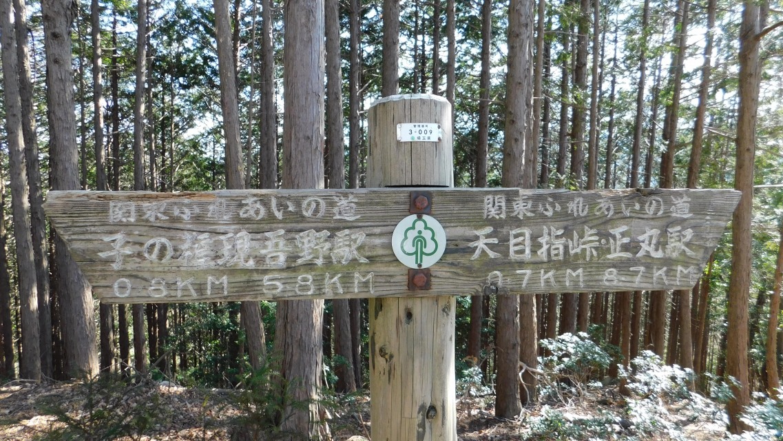 �m 96�^154 �n�@�u�q�̌��� 0.8�j�l�v�n�_��ʉ�