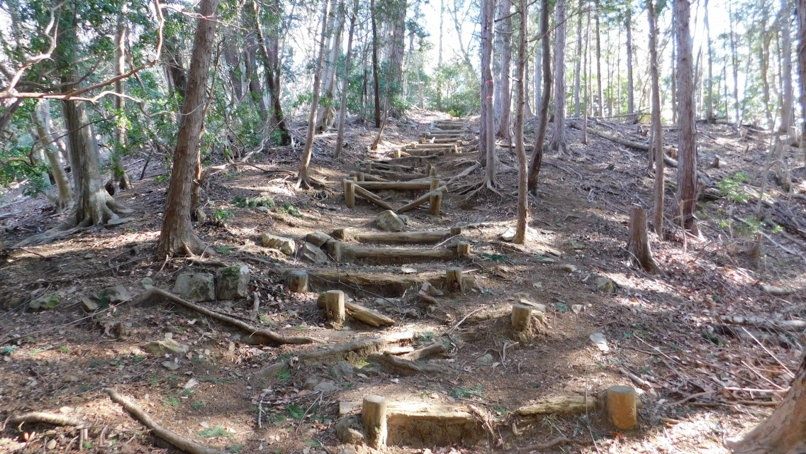 �m 97�^154 �n�@�K�i�݂��B�q�̌����܂łT�U�A�s�[�N���z�����Ǝv���B