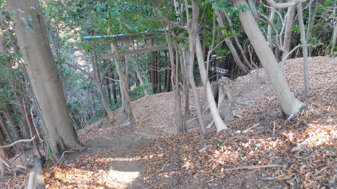 �m 99�^154 �n�@������ʉ߁B�\��������B