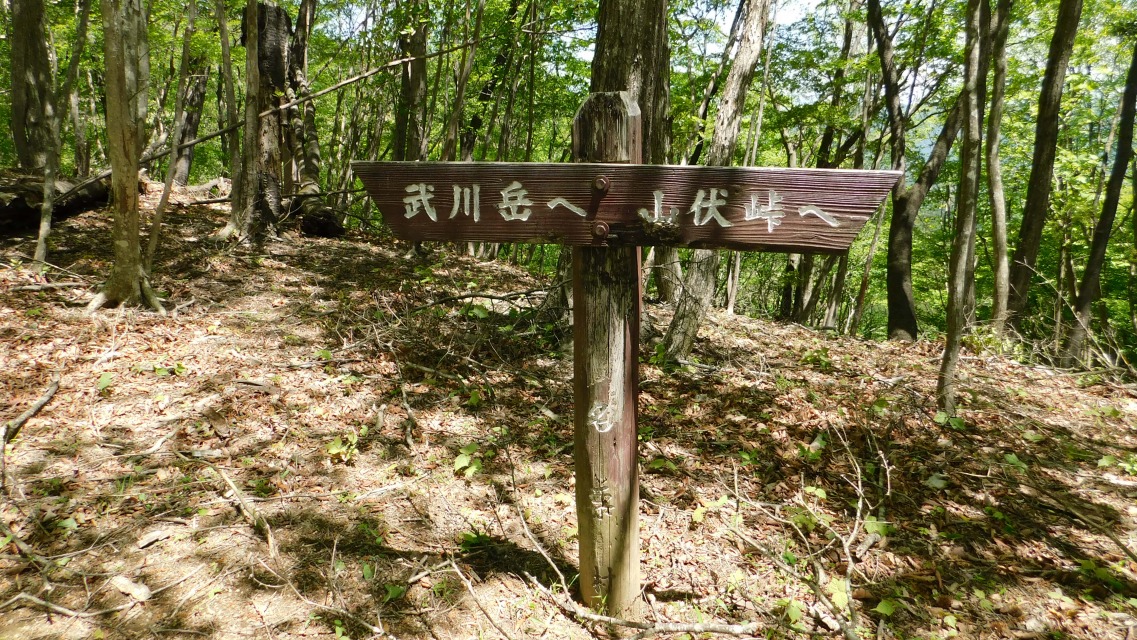 �k 36�^93 �l�@���p�\����ʉ�