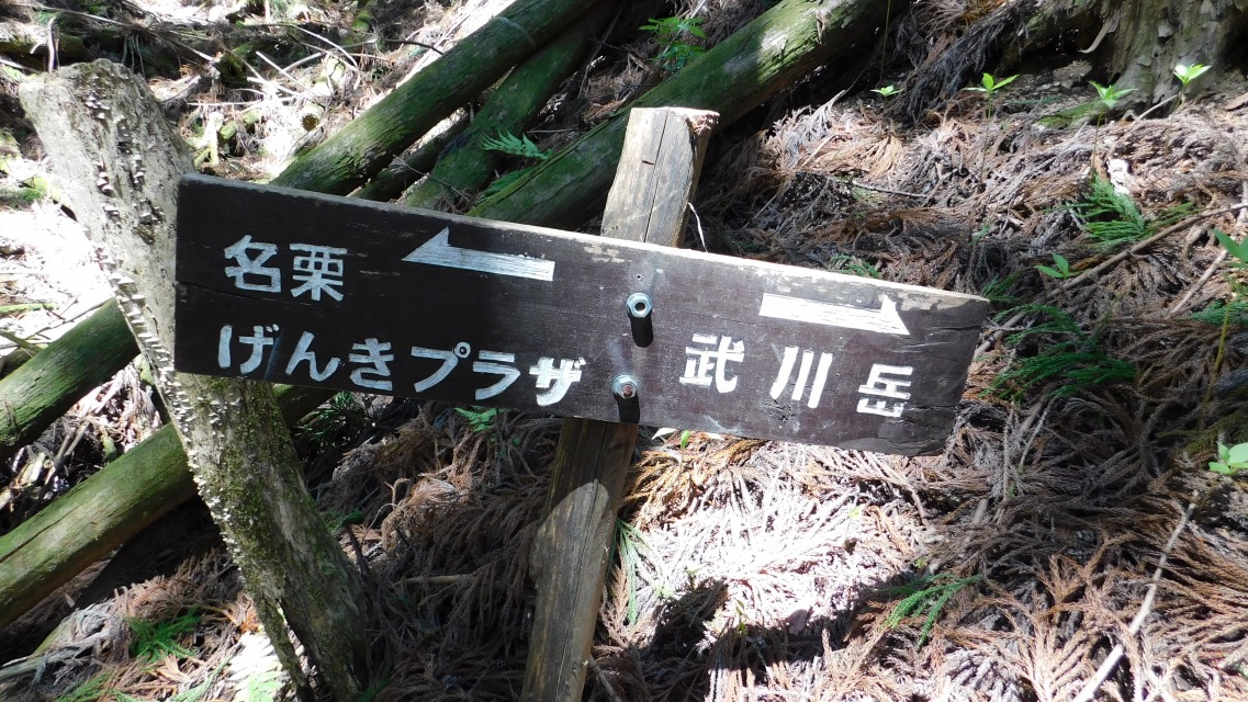 �k 57�^93 �l�@�\���ʉ߁B�u �� ���I���񂫃v���U�v�ցB