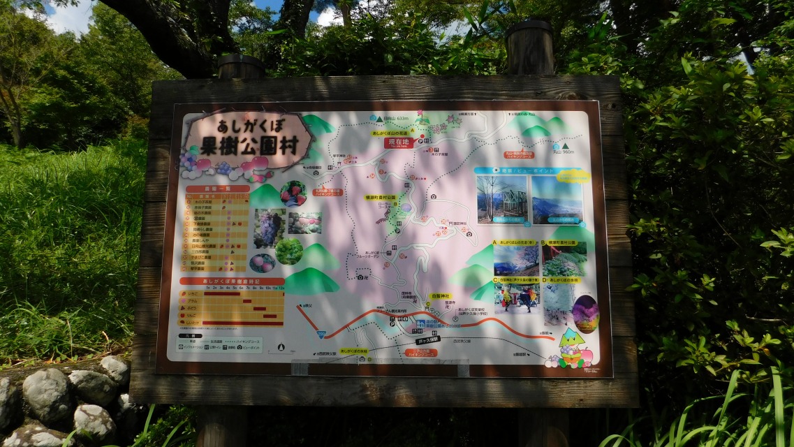 �m 91�^115 �n�@�u���������ډʎ��������v�ē��}