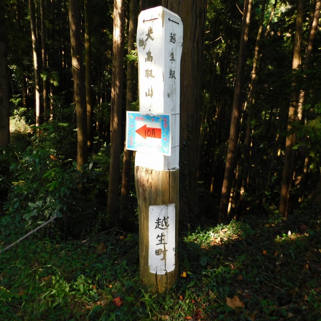 �m 16�^97 �n�@���p�\��