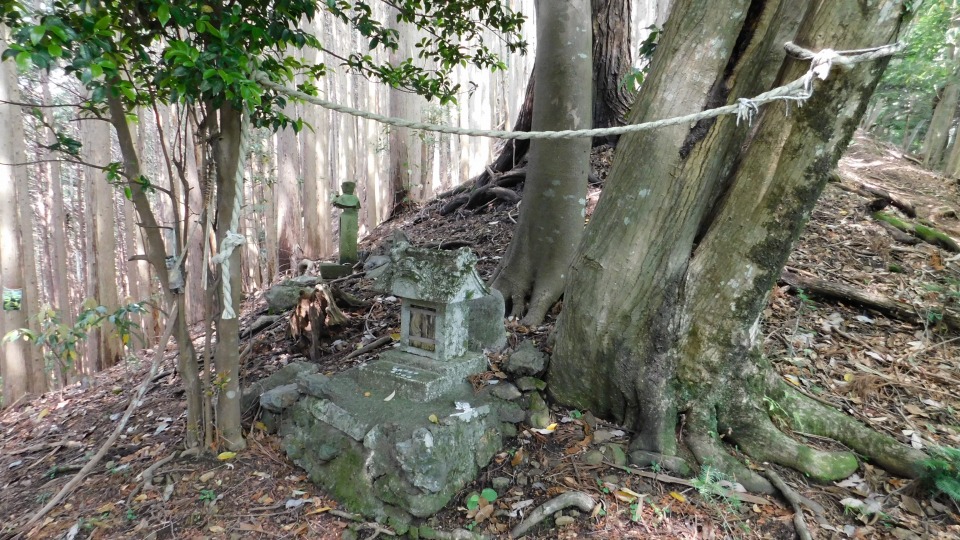 縄で神社の神域を確保していると思われる