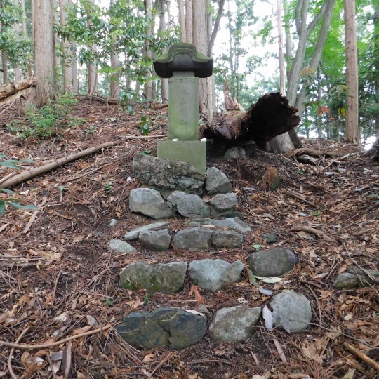 石塔。「大山祇命（おおやまつみのみこと）」と書かれている。