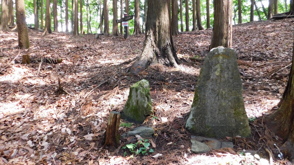 「大山祇尊」の石塔を通過。「大山咋神（おおやまくいのかみ）」と思われる。