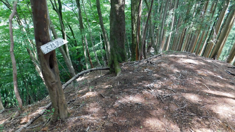 標識確認。「大松閣に至る」道。