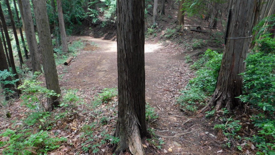 広い道へ出る。右手の小道へ入る。