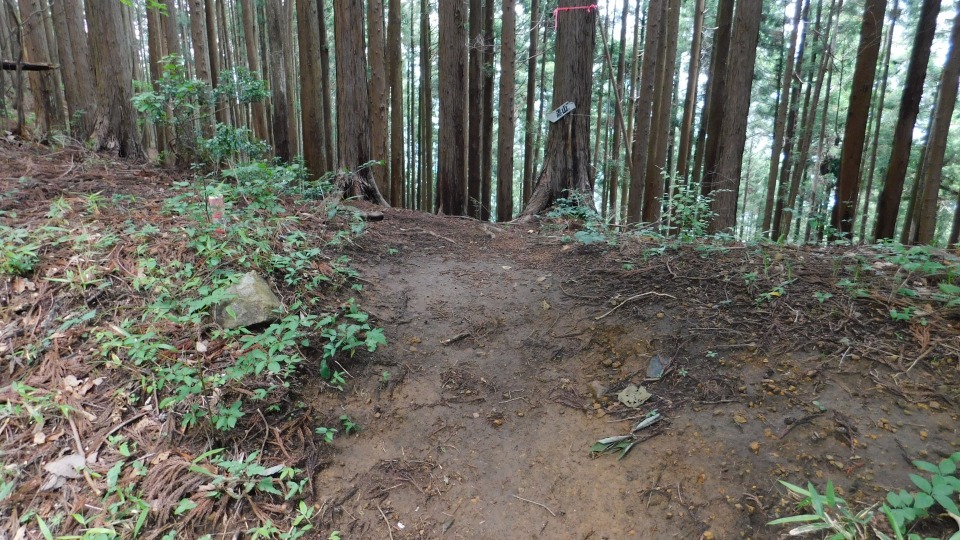 小道の入口。奥に「黒山」の白い標識がかかっている。