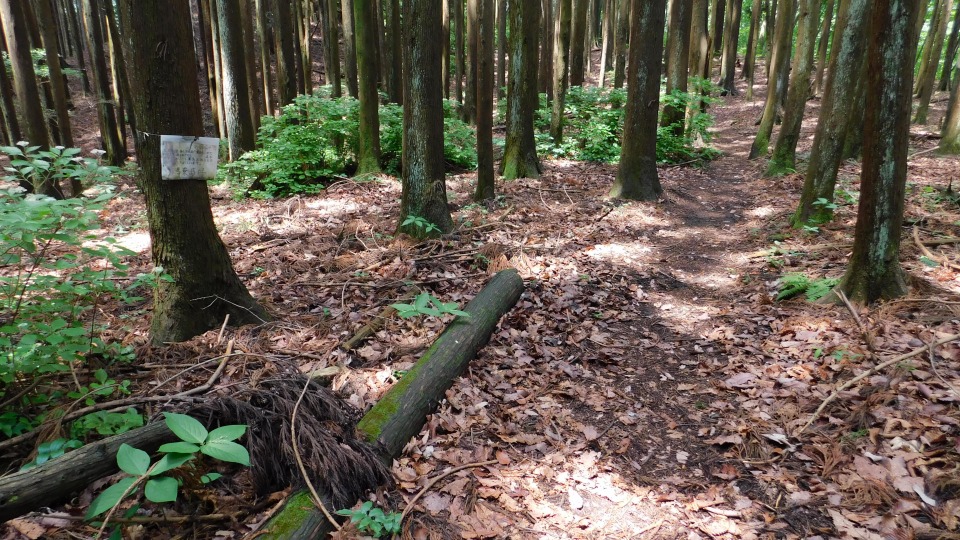 「馬乗馬場（マノリバンバ）」の案内板を通過