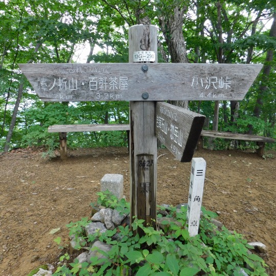 「棒ノ折山（ぼうのおれやま）1.2ｋｍ」へ