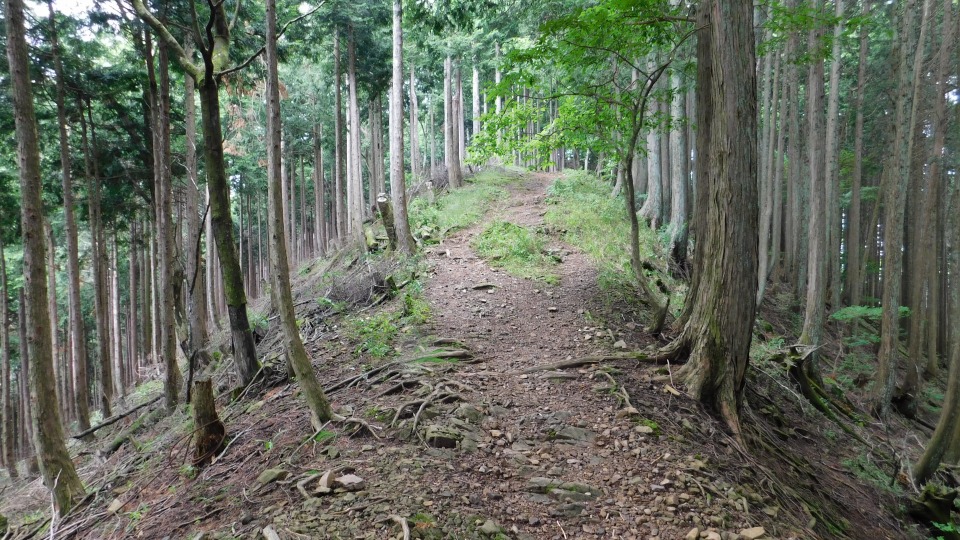 尾根伝いに進む