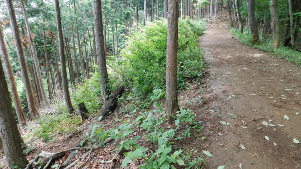 左下へおりると黒山方面