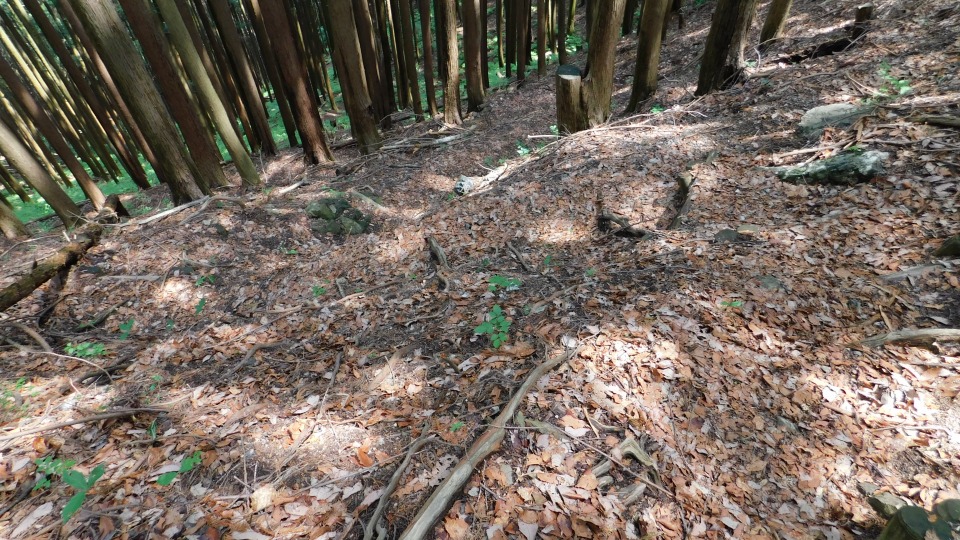 ジグザグ道の登山道をくだる