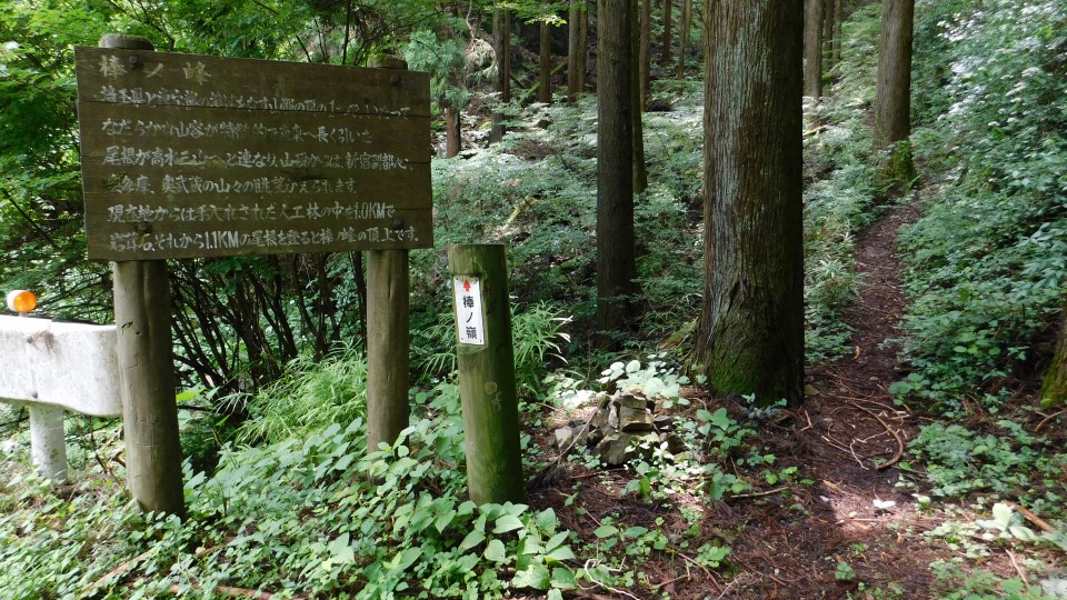 林道へおりて後ろを振り返る。「棒ノ峰」案内板。「解説」参照。