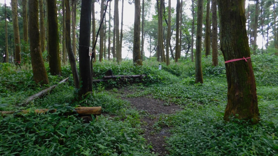 山頂に到着