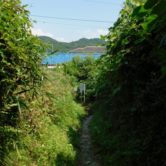 住宅地へ入るようだ