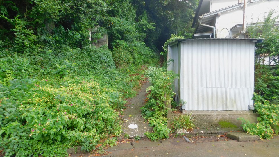 ここが登山口と思われる