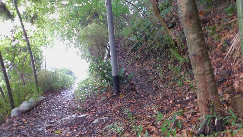 登山道へ入る